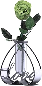 Single Yellow Green Preserved Rose Metal Flower Vase