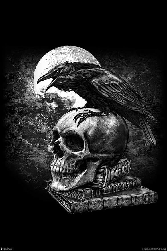 Alchemy Poes Raven Skull Gothic Edgar Allan Poe Witchy Witchcraft Goth Decorations Crow Horror Cool Wall Art Print Poster 24x36