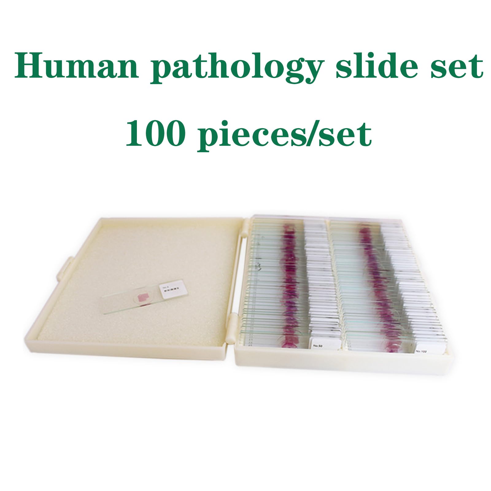 100 Portaobjetos para Microscopio, Portaobjetos De Histopatología con Tinción HE De Células Humanas Estructurales, Transparencia, Teñido Uniforme, Imágenes Claras