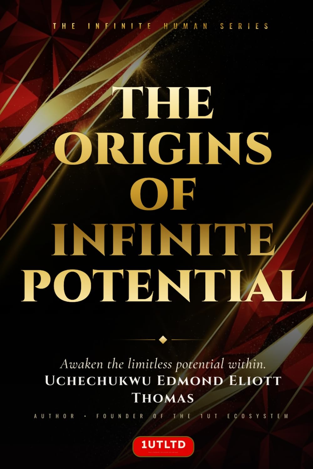 The Origins Of Infinite Potential: The Foundations of Human Consciousness, Identity, and Becoming Book One of the Infinite Human Series: 1