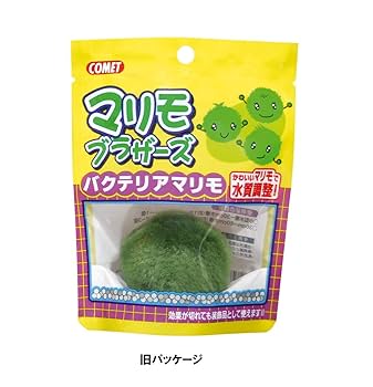 Amazon.co.jp: コメット マリモブラザーズ バクテリアマリモ