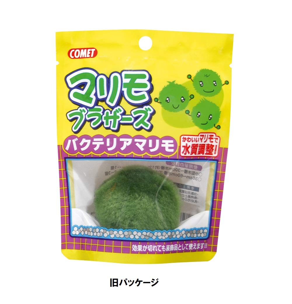 まりも様確認用