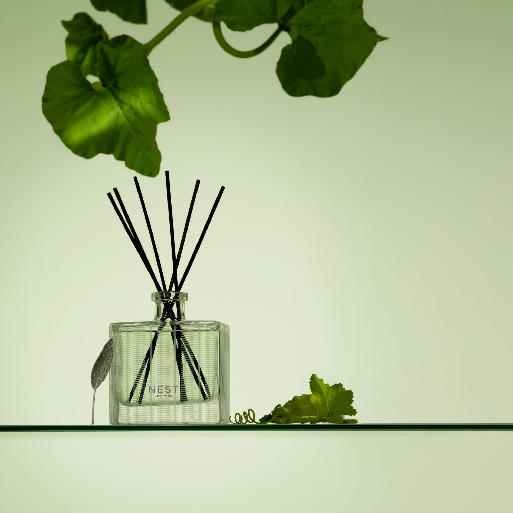 NEST New York Reed Diffuser, Cucumber & White Sage - 5.9 fl oz - Fragrance for Up to 90 Days - Reusable, Refillable Glass Holder - Includes 8 All-Natural Reed Sticks - Flame Free
