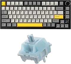 EPOMAKER AK820 Pro 75% Wireless Mechanical Keyboard+Creamy Jade 45gf Gaming Keyboard Switches