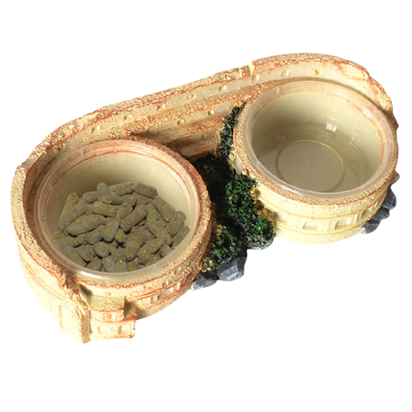 Bol à eau pour terrarium de reptile et coupelle d'alimentation pour gecko