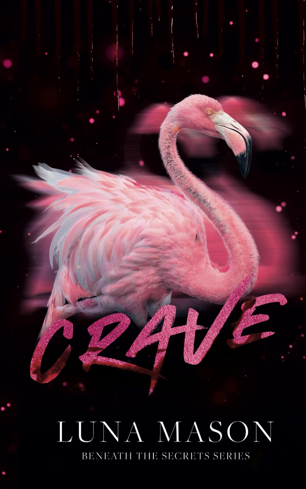 Crave: Discreet Special Edition (Beneath The Secrets: Special Edition Discreet Covers)