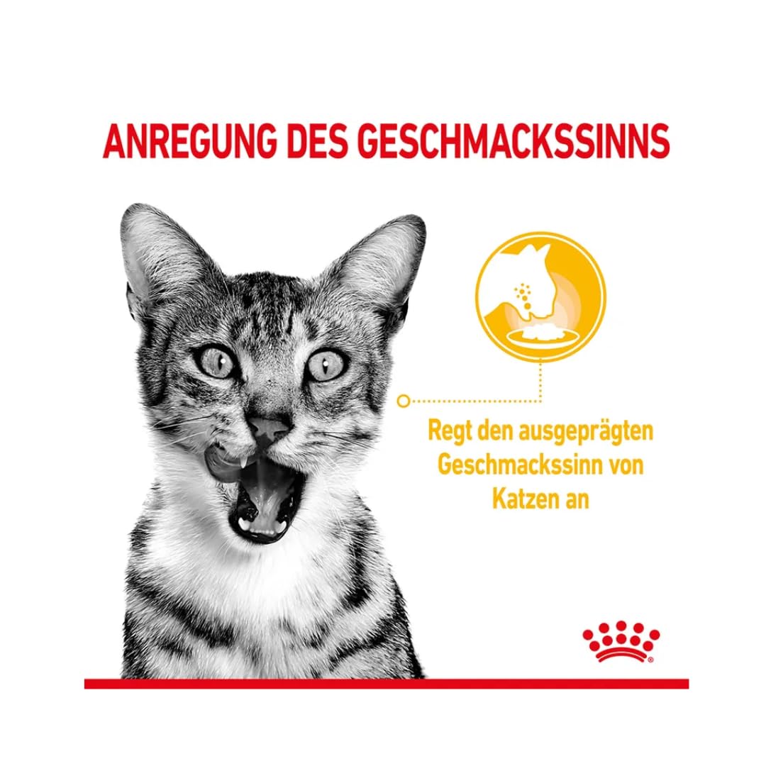 Royal Canin Sensory Multipack | Pack de 4 | 4 x 12 x 85 g | Alimento Completo para Gatos Adultos | Olor, Sabor, Sensación