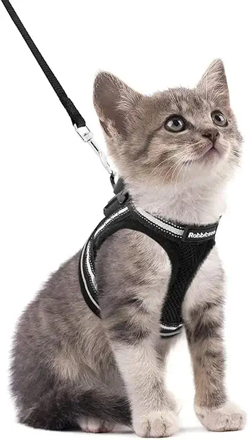 Rabbitgoo Escape-Proof Cat Harness & Leash Set for Extra Small Cats - Adjustable Kattunge Sele