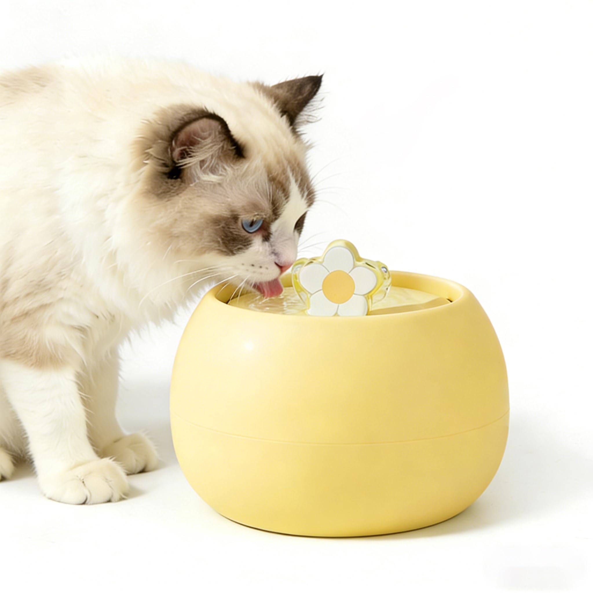Distributore d'acqua per gatti in ceramica, 1,5 l, ultra silenzioso, automatico, per gatti, animali domestici, fontanella per interni, con filtro a carbone attivo dal design carino, perfetto