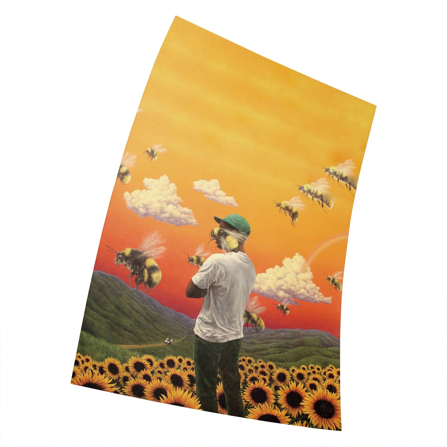 Asher Tyler The Creator: Flower Boy Poster Album Cover 15 x 23 Inches (38 x 58 cm) 380 x 580 mm