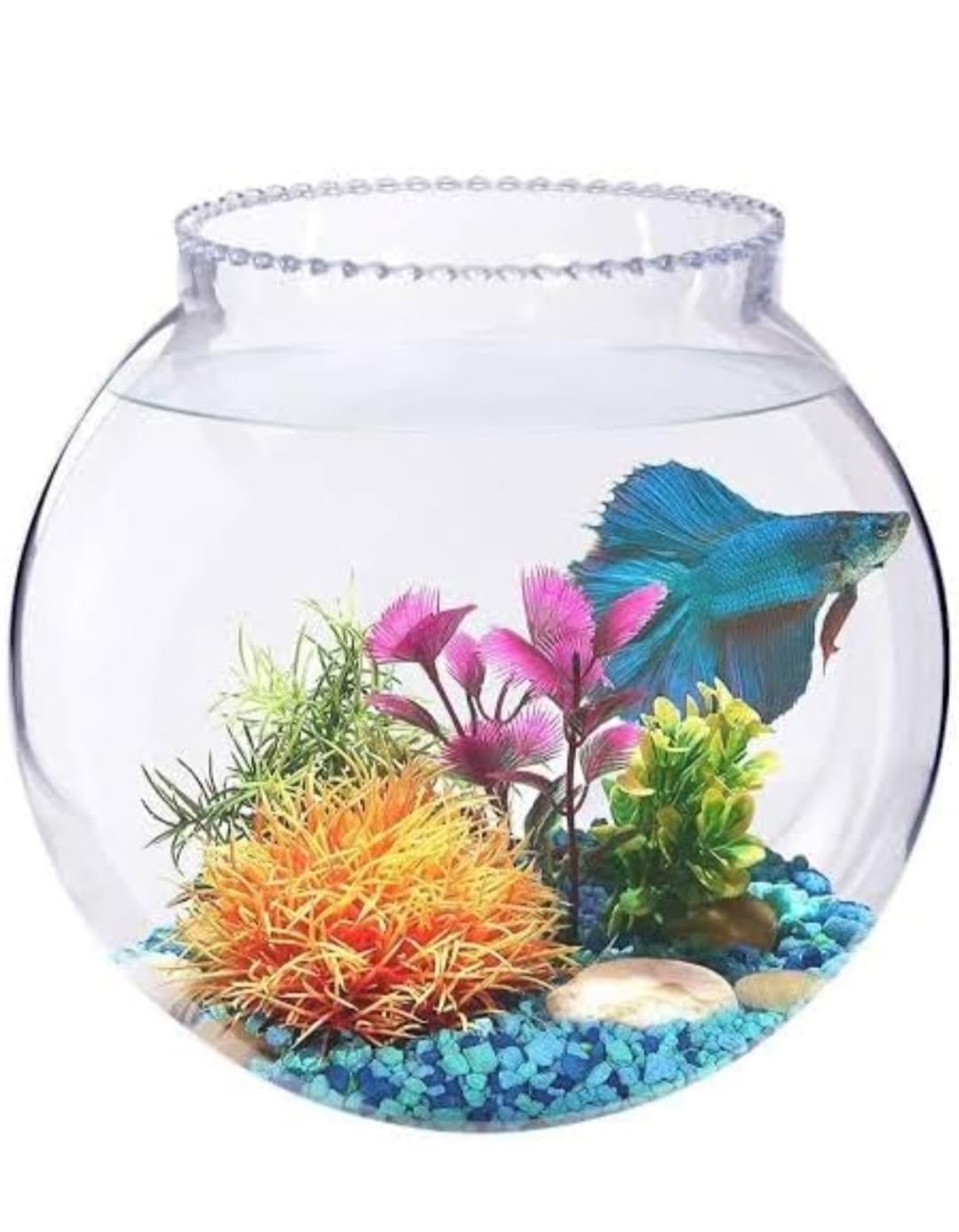 LAXMI Aesthetic Fish Bowl Aquarium, Zig-ZEG Coller Round Crystal Clear Transparent Zig Zag Neck Bowl Aquarium,Fish Bowl,Glass Vase for Home/Office Decoration 12 INCH (B0D9FW4KK4) Amazon Price History, Amazon Price Tracker