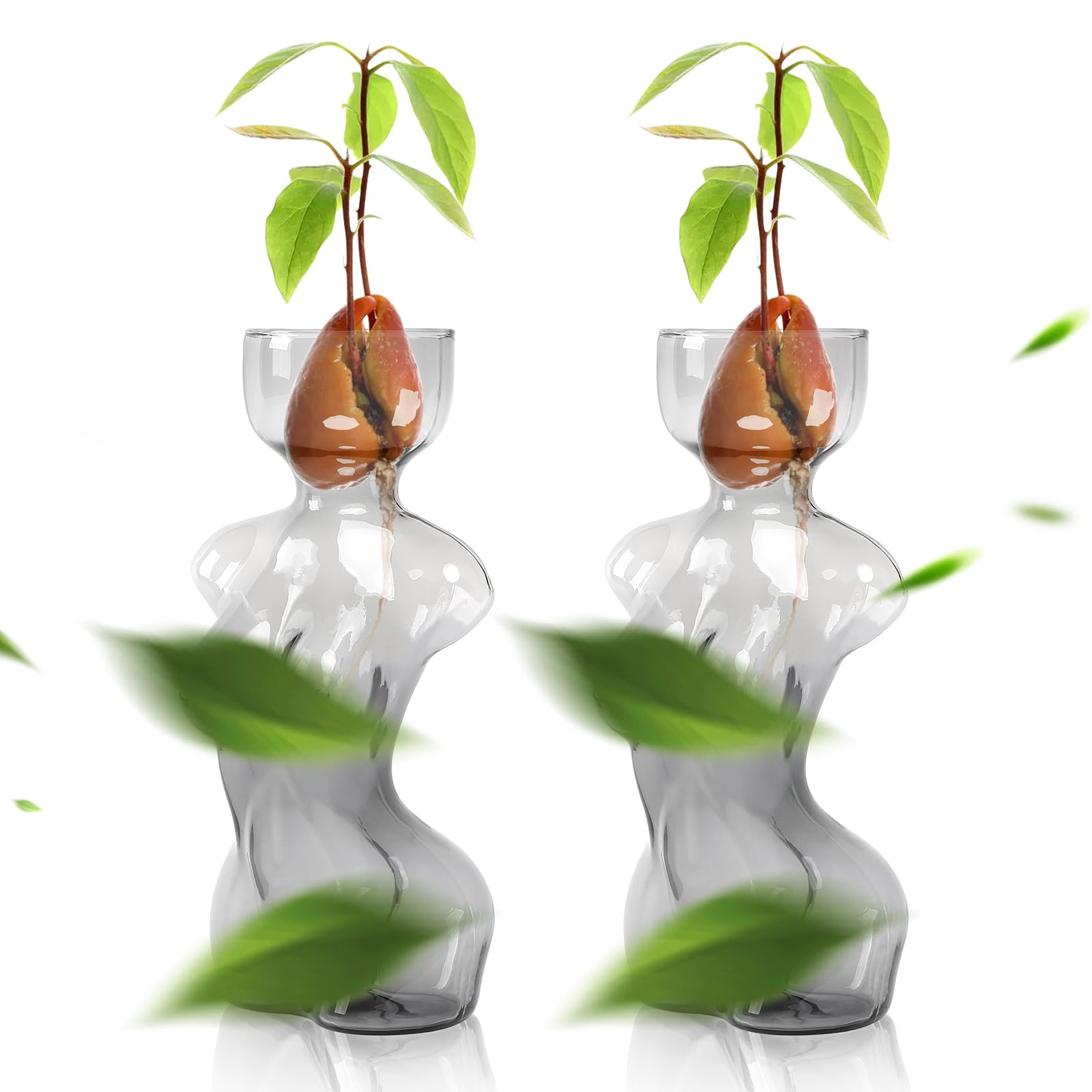 CYZglass Propagation Vases for Plants Plant Propagation Jars Unique Body Avocado Vase Glass Planter Perfect for Seed Starting Water Rooting and Home