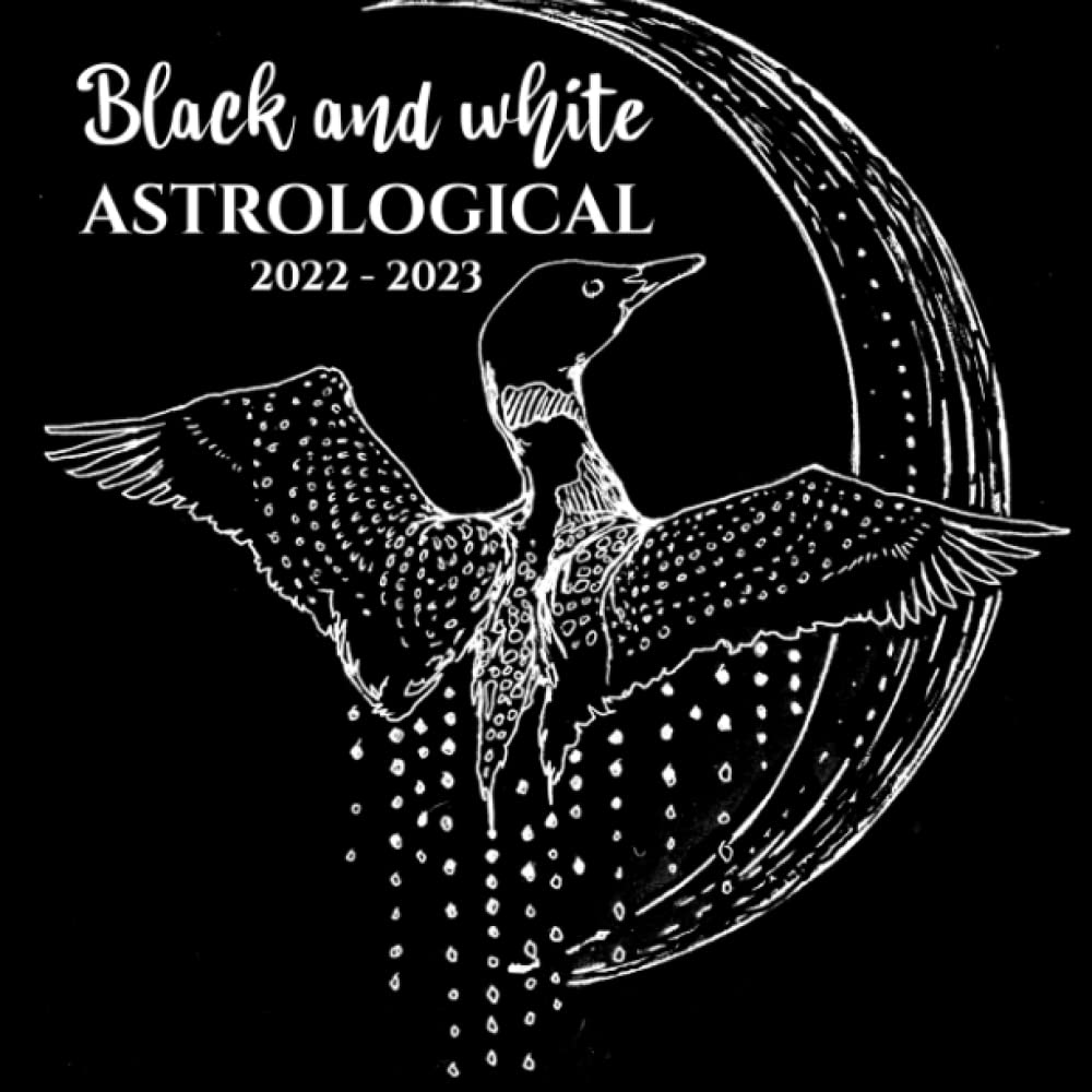 Buy Black And White Astrological 2022 Hand Drawn Moon Cycles Mini