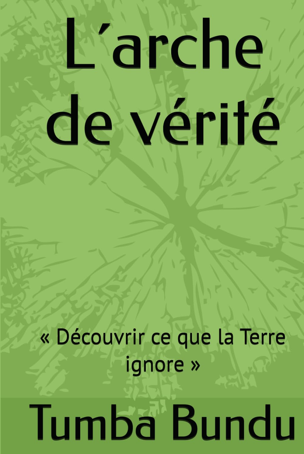 L´arche de vérité: « Découvrir ce que la Terre ignore »
