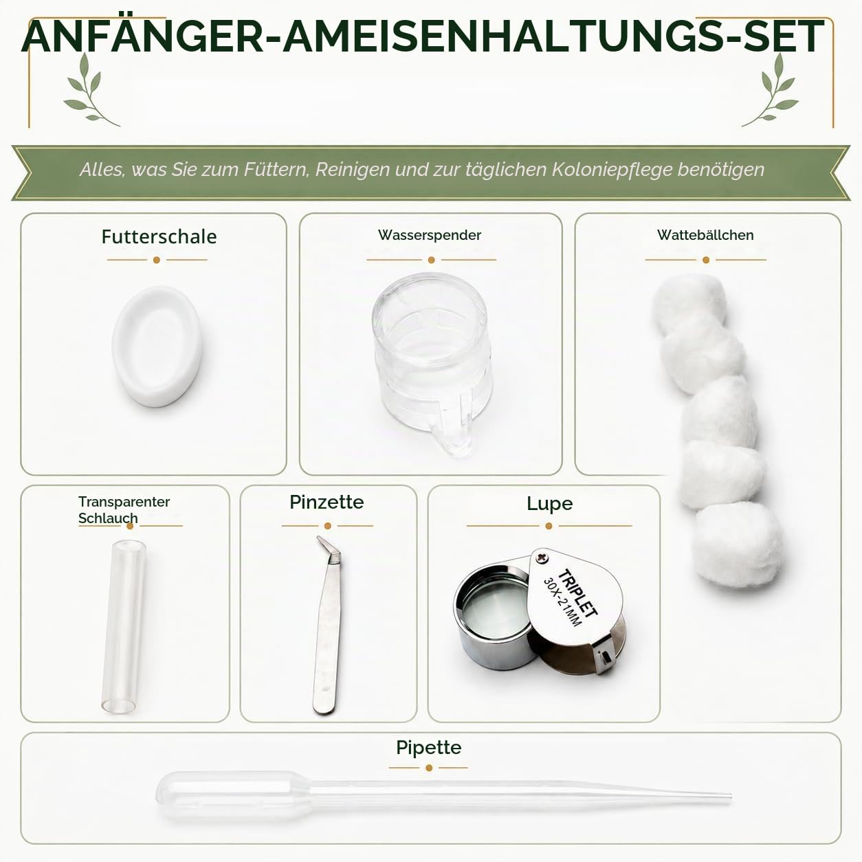 Formicarium – Ameisenfarm Lebensraum für lebende Ameisen & Königin, Erwachsenenpädagogisches Set für Ameisenverhaltensstudien und Lernen