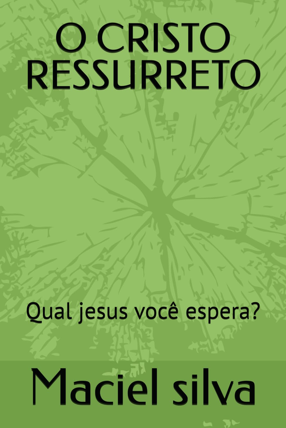 O CRISTO RESSURRETO: Qual jesus você espera?