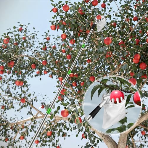 Kkluno 13.1FT Fruit Picker Pole with Basket Telescoping Tree Harvest Tool by Kkluno - Used condition - Image 8