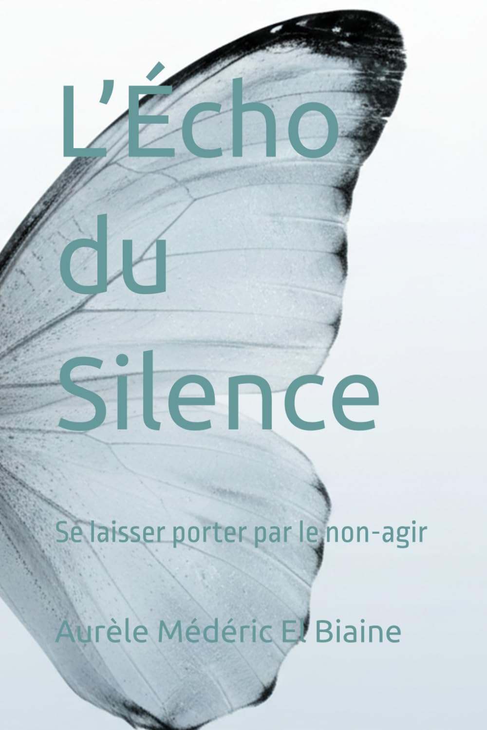 L’Écho du Silence: Se laisser porter par le non-agir