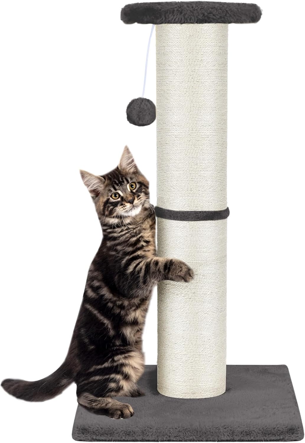 PAWSCRAT 32in Cat Scratching Post with Sisal Rope