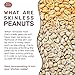 Spicy World Skinless Peanuts, Blanched Raw Peanuts (Uncooked, Unsalted) 4 Pound (64oz) ~ All Natural USA Grown