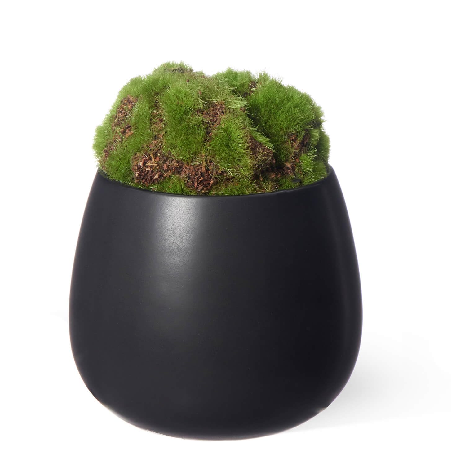 Amazon｜CUPBON 苔盆 しずく 盆栽 フェイクグリーン カップボン｜人工