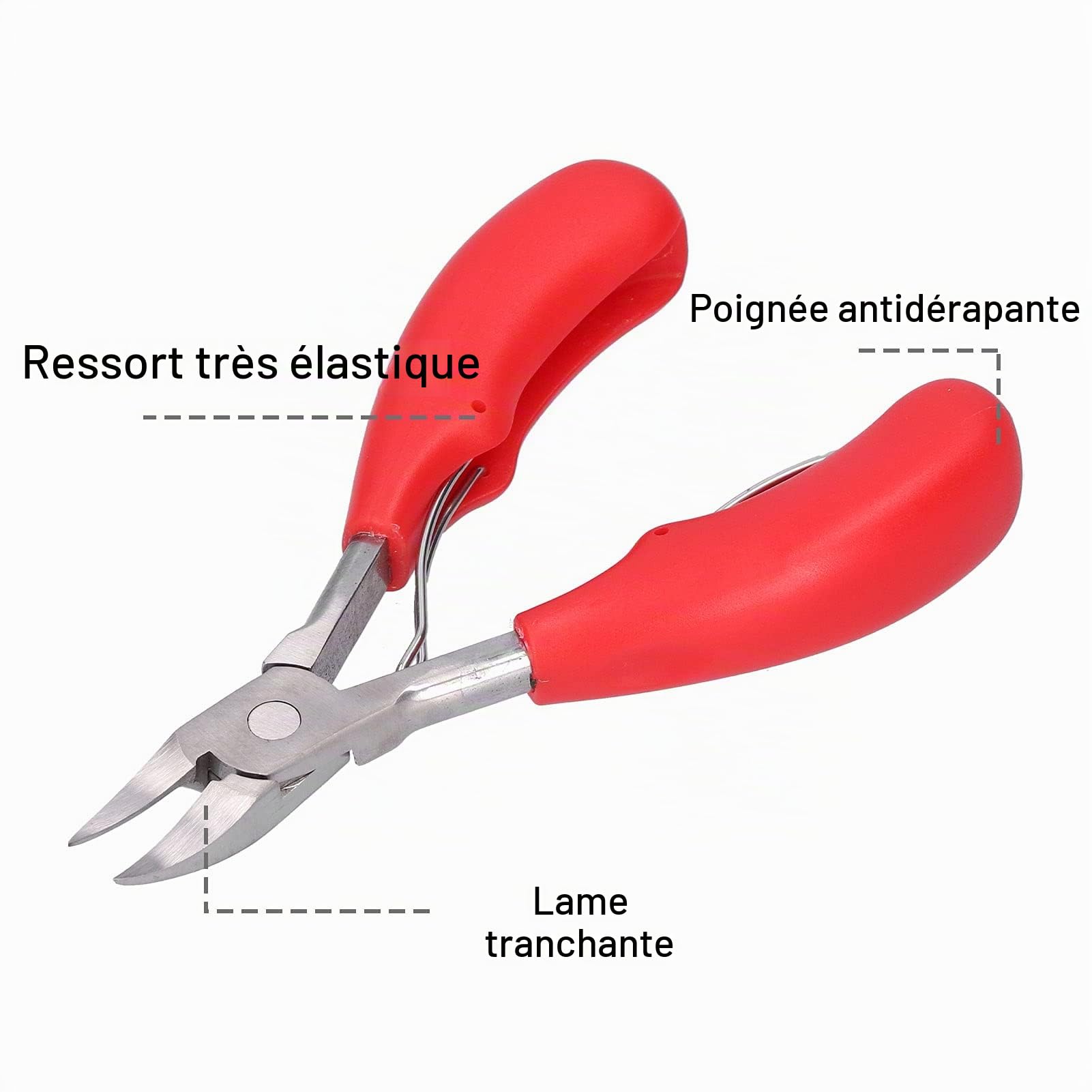 URRNDD Pince Coupante de Dents pour Porcs Matériau en Acier Inoxydable Adapté pour Couper Les Dents de Bébé de Petits Animaux Tels Que L'équipement D'élevage de Porcelets/Lapins(Rouge)