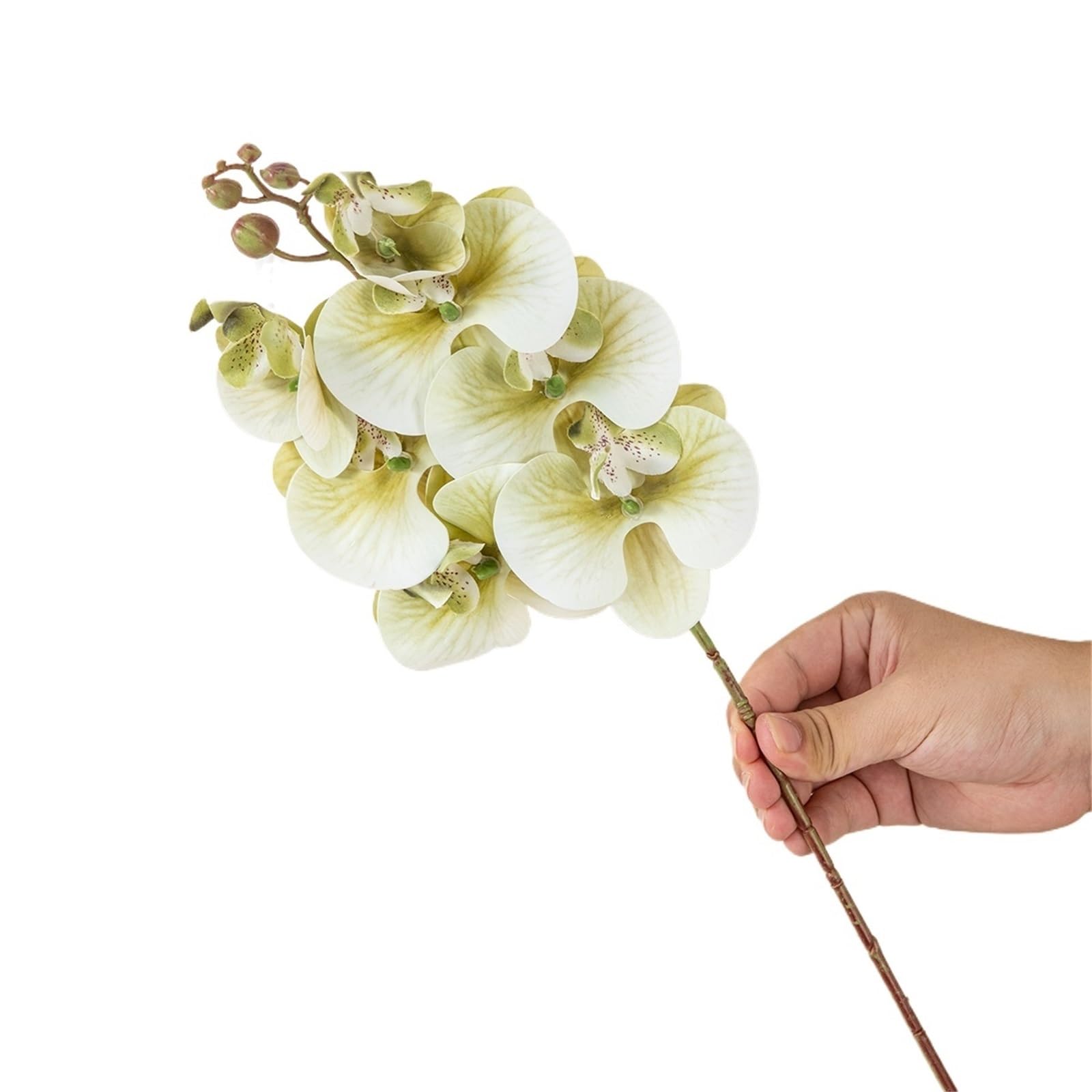 DSFVERVD Artificial Butterfly Orchid Artificial Flowers Silk Moth Orchid
