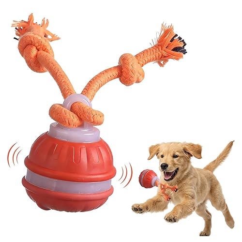 Zealburst Interactive Pet Toy, 360° Auto Rolling Moving Toy for