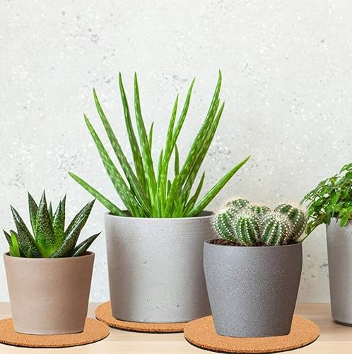 Miniatura 5 de 10 posavasos de corcho de 3 tamaños, tapetes de corcho de 468 pulgadas, posavasos de corcho para macetas, posavasos para plantas de interior (piel y