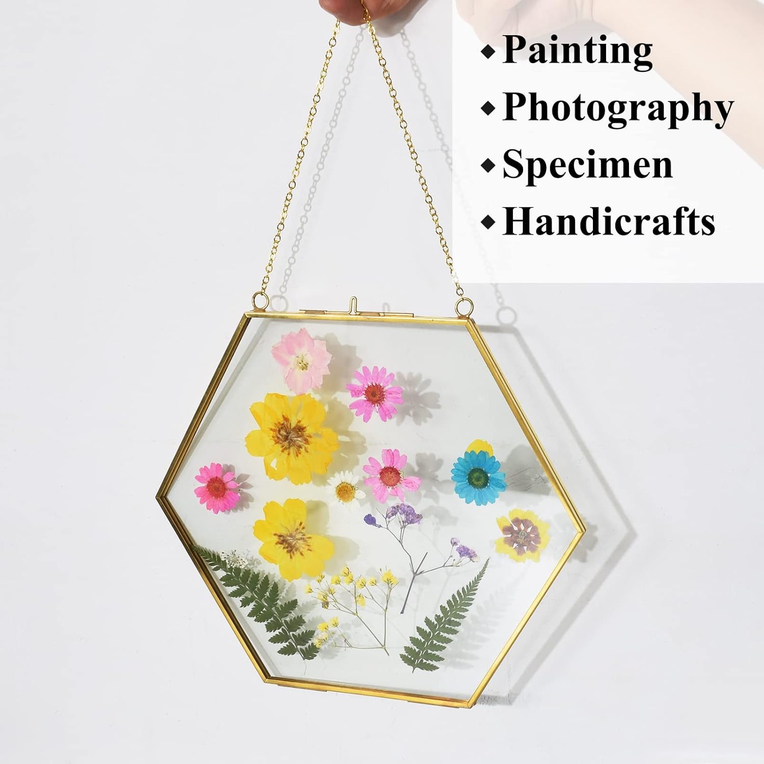 Buy TLBTEK Brass Hanging Photo Frame,9.5 Inch Hexagon Glass Frame for
