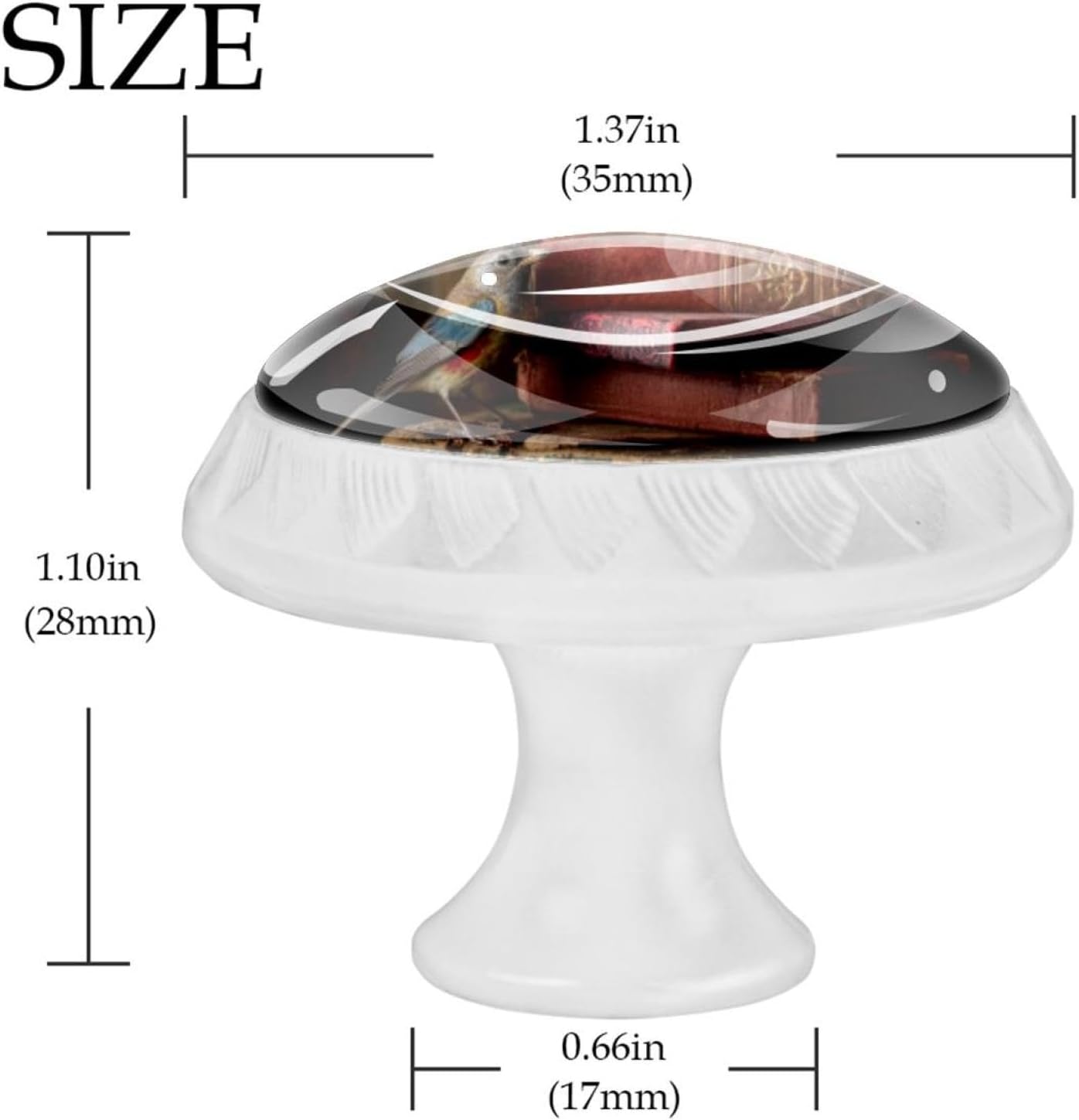 Black Books (2) Modern Style Drawer Knobs, Universal Cabinet Knobs for Kitchen Living Room Bedroom