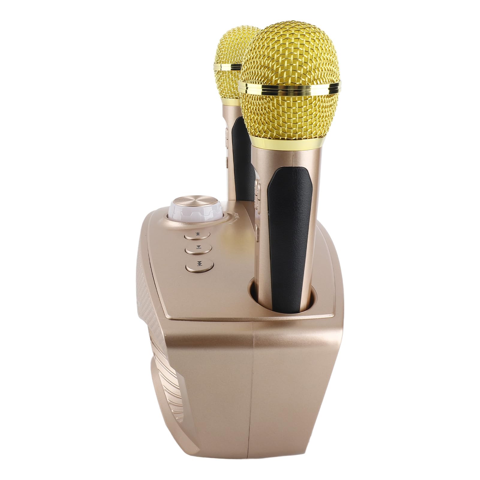 aqxreight Altoparlante Bluetooth con Microfono per Karaoke Domestico – Macchina KTV Portatile con 2 Microfoni, Batteria da 1800 MAh, Supporto AUX/USB/TF, Portata 10 M, Ideale per Feste in Famiglia