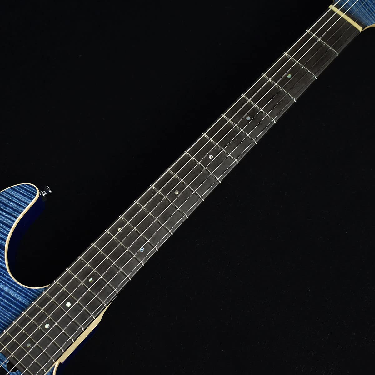 Amazon | Ts Guitars DST-Pro22 Flame Top Arctic Blue S/N：032563