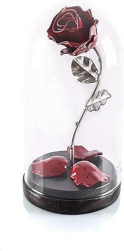 Forging Art Bcn Rosa eterna forjada a mano en cúpula de cristal de La Bella y la Bestia, regalo para el día de la madre, día de San Valentín,