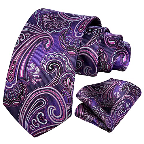 Image of HISDERN Ties for Men Paisley Tie and Pocket Square Woven Classic Floral Mens Ties Handkerchief Set Wedding Party Necktie