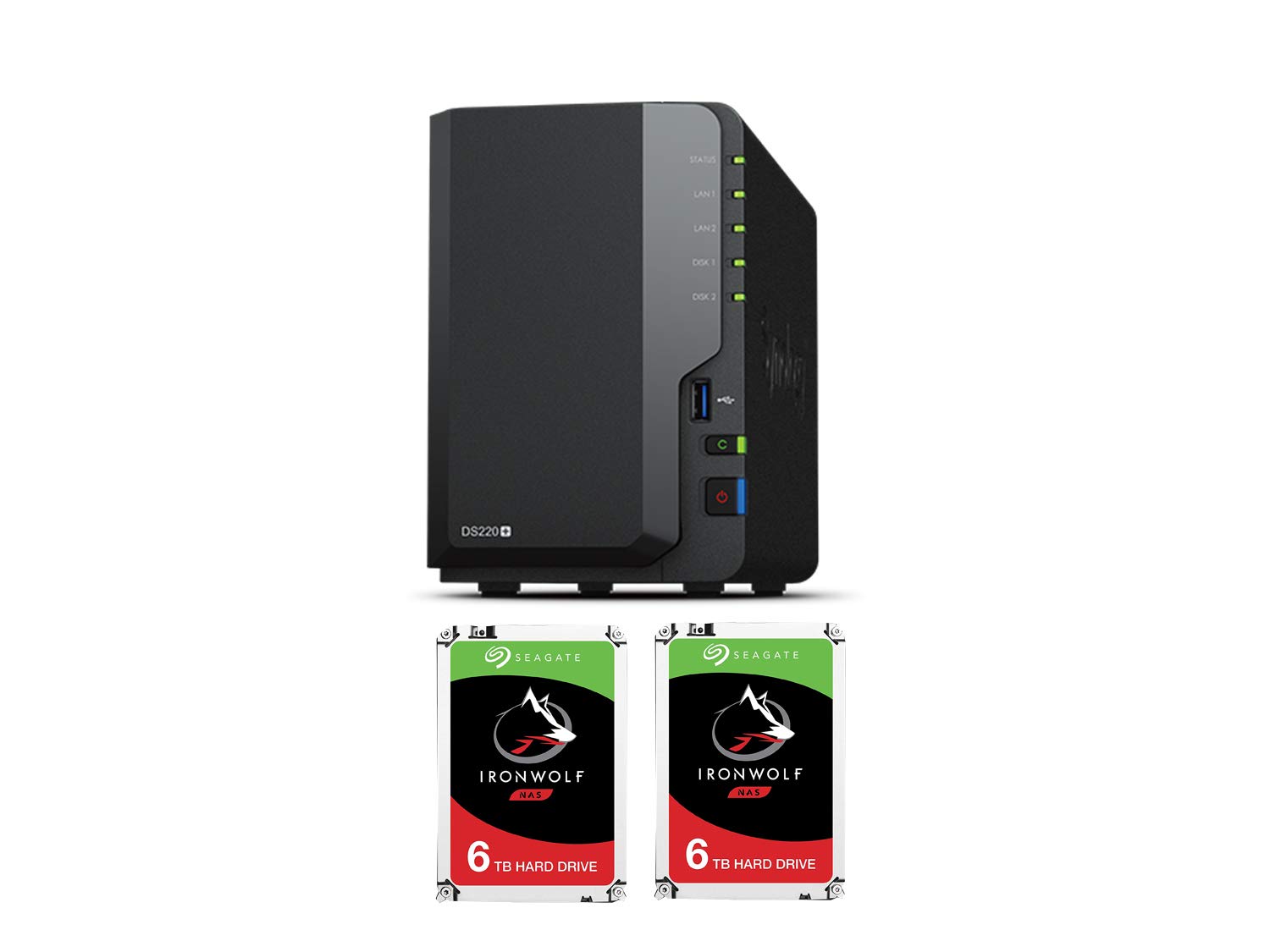 Synology Pre-Configured DiskStation with Seagate Hard Drives (DS220,12TB)