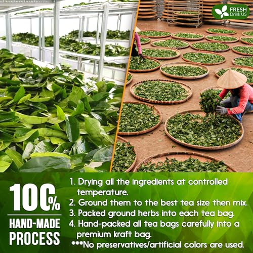 Image of FreshDrinkUS, Premium 40 Tea Bags Soursop Green Tea, 100% Natural & Proprietary Blend from Soursop Leaves and Green Tea. Smooth Flavor. Made with Eco-Conscious Tea Bags. No Additives No Sugar, Vegan.