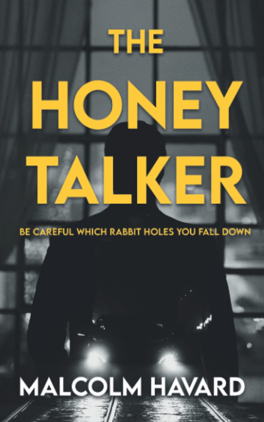 The Honey Talker: A Crime Thriller (The Aidan Hughes Series)