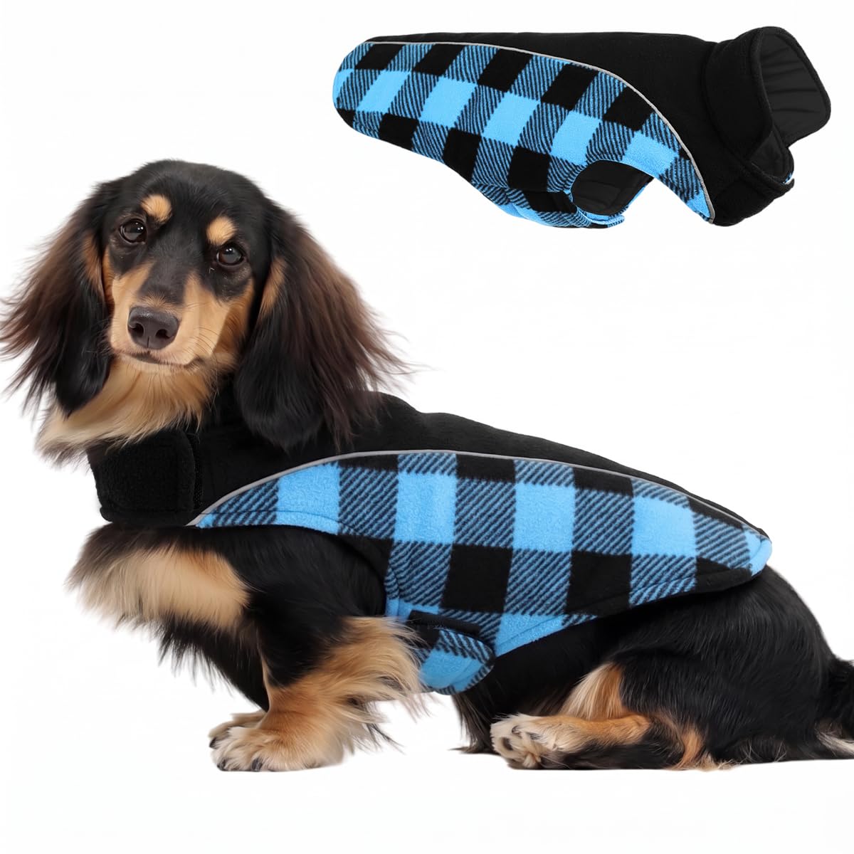 CITÉTOILE Cappotto Invernale per Cani, Giacca Calda e Antivento Blu L | Giubbotto Invernale Cane Reversibile, Gilet Riflettente con Foro per Imbracatura, Abbigliamento Taglia Piccola Media Grande