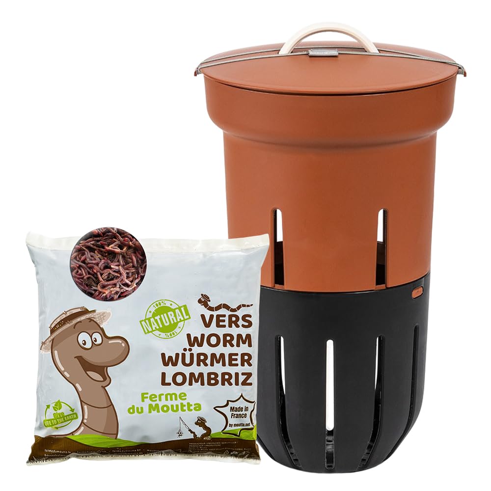 Lombricomposteur Terracotta à enterrer 12L | 250gr de vers de Compost | A enterrer dans Votre jardinière | Compostez Vos déchets organiques | Parfait pour Nourrir Vos Plantes