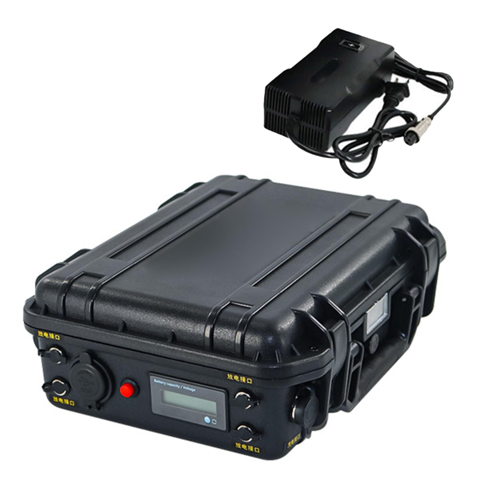 Batterie al Litio da 12 V 60 Ah 80 Ah 100 Ah 120 Ah 150 Ah 200 Ah per ecoscandagli. Batteria ad Alta capacità da 12 Volt con Caricabatterie per luci/ecoscandagli.
