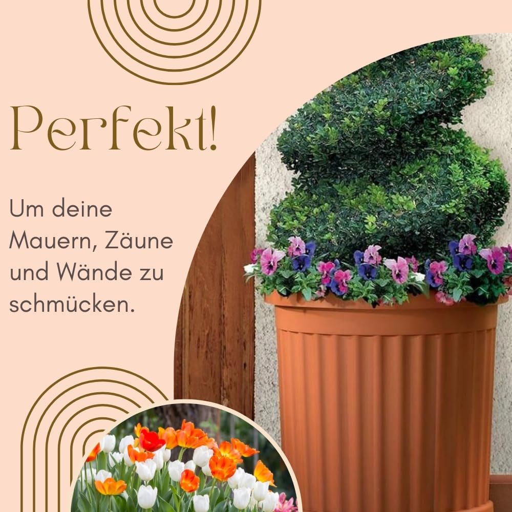 blumenständer metall schwarz gold Pflanzenregal Metall schwarz mit 6/7/8 Ebenen online kaufen