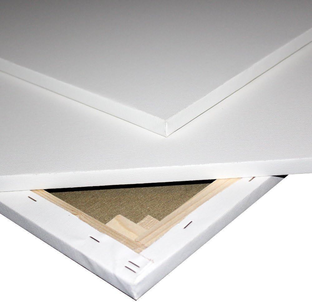 contenitore sigillato per 50 libbre di cibo per cani