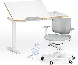 FlexiSpot Children's Desk, Electric Height-Adjustable Desk with Tilting Table Top with LED Height Display, 3 Memory Slots, Child Lock, 110 x 52 cm (SK2 Children's Table and Chair Set)