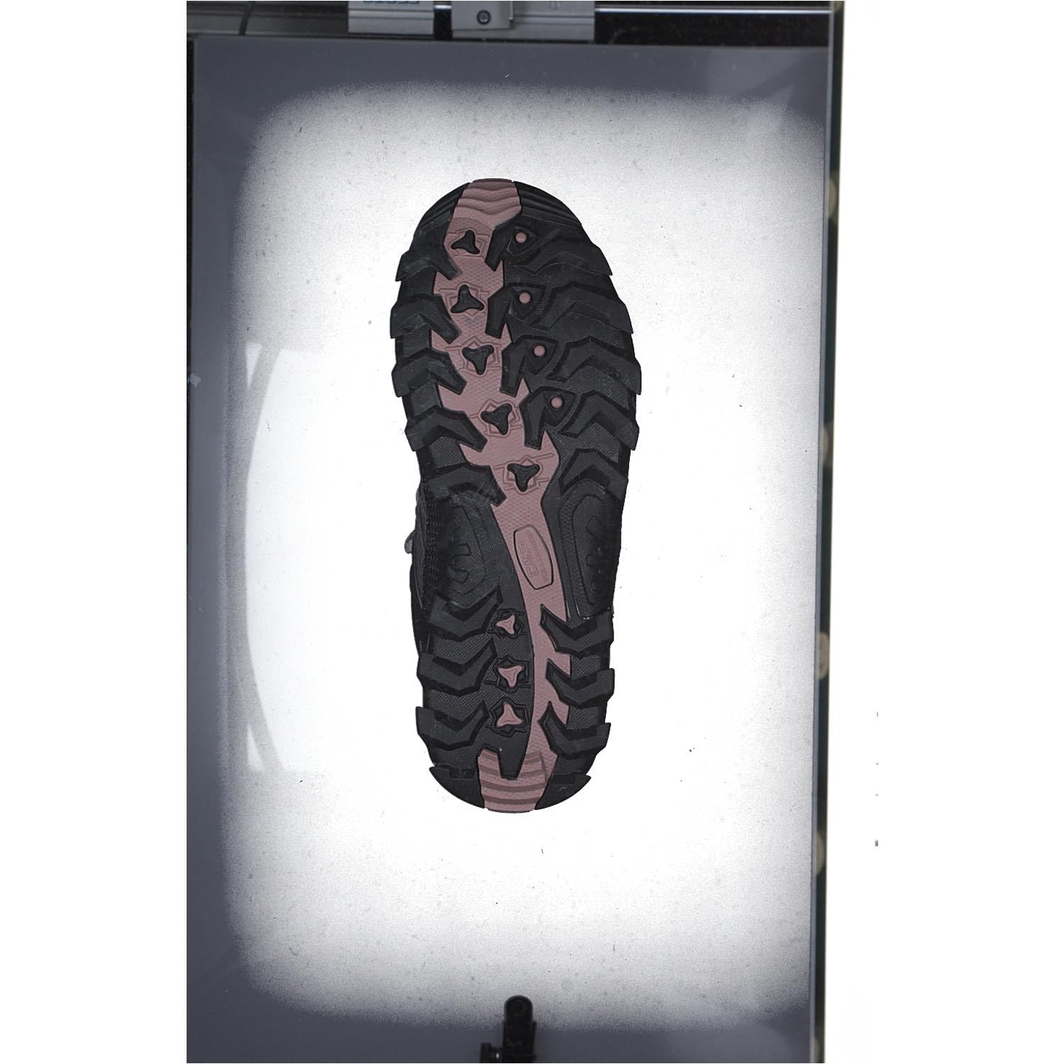 CMP Femme Rigel Chaussures de Randonnée Basses