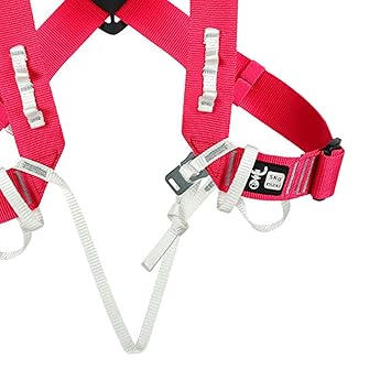 Fashion My Day Climbing Harness Chest Straps for Climbing Mountaineering High Altitude Work Rose Red |Sporting Goods Outdoor Sports Climbing & Caving |Ropes, Cords & Slings