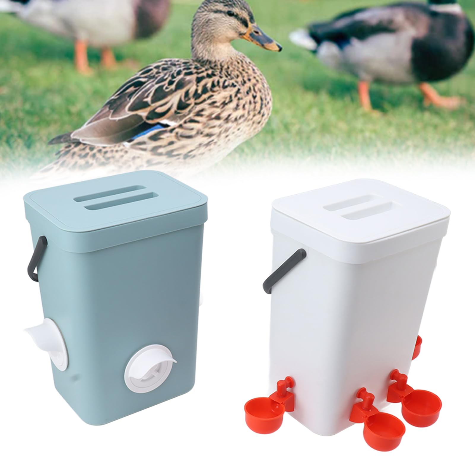 Comedero para Pollos Dispensador de Tazas para Pollos Puerto de Bebedero Fuente de Agua Contenedor Barril Auto Aves de Corral Pollo Patito Pájaro Bebedero para Loros Juego de