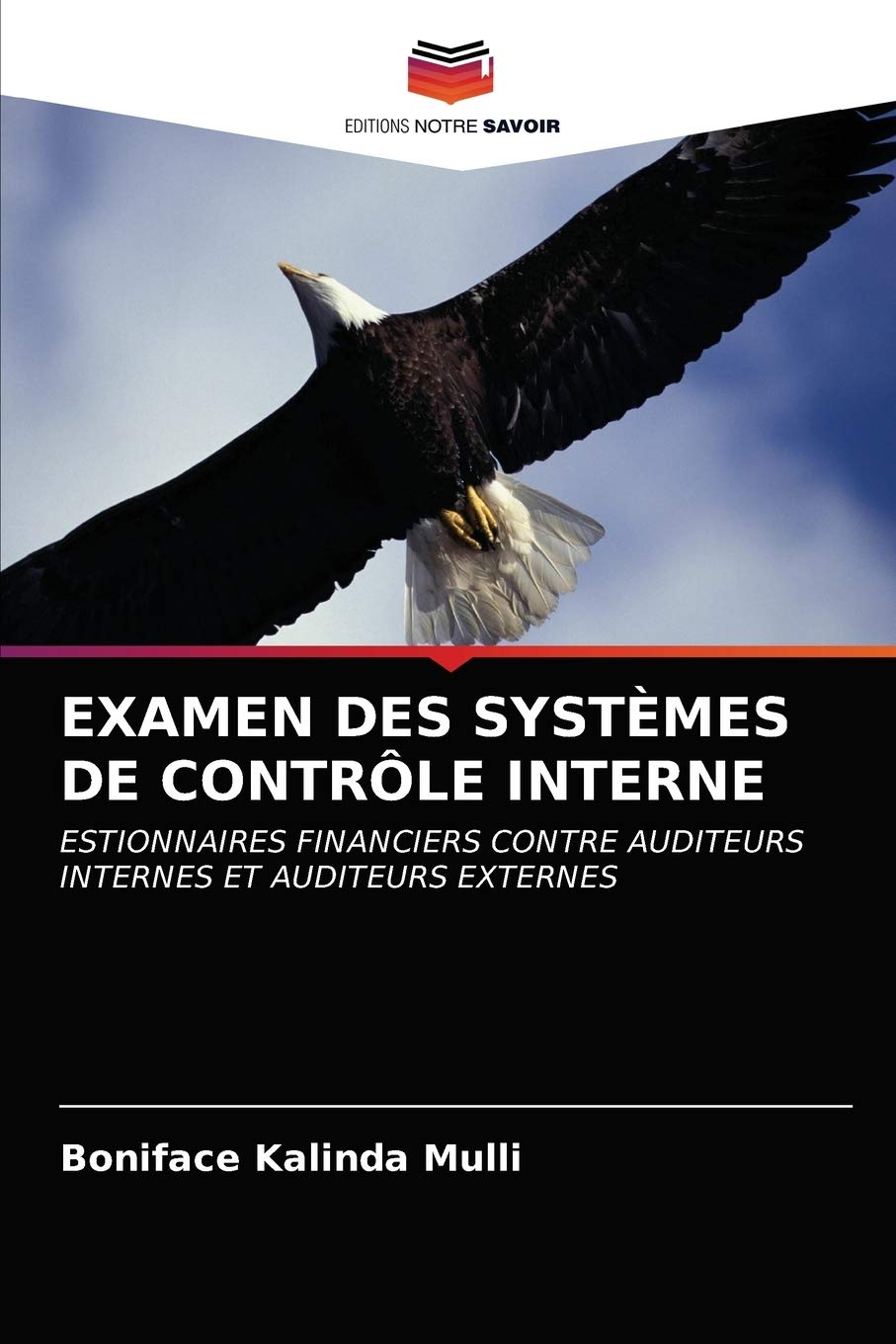 EXAMEN DES SYSTÈMES DE CONTRÔLE INTERNE