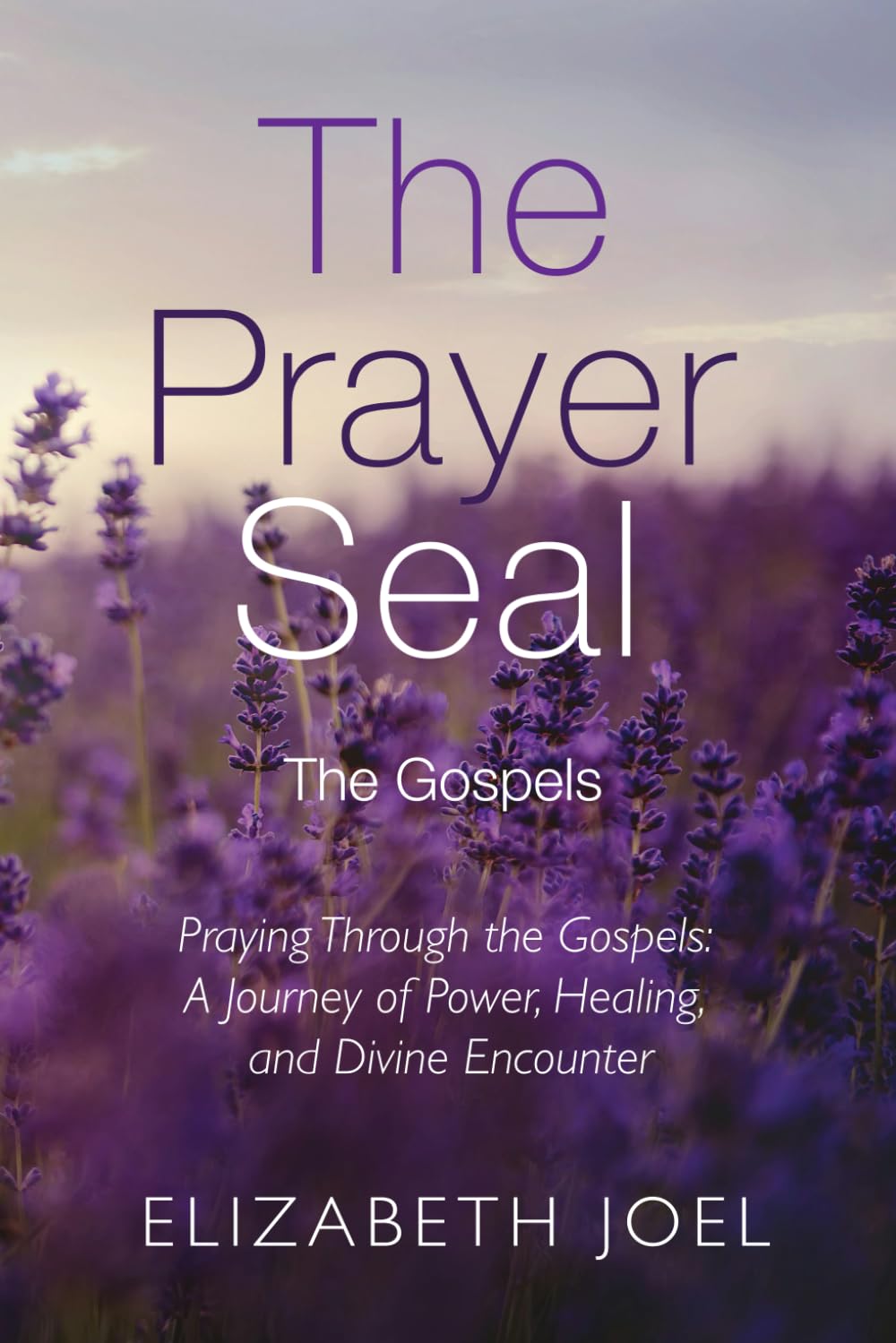 The Prayer Seal: The Gospels: Praying Through the Gospels: A Journey of Power, Healing, and Divine Encounter