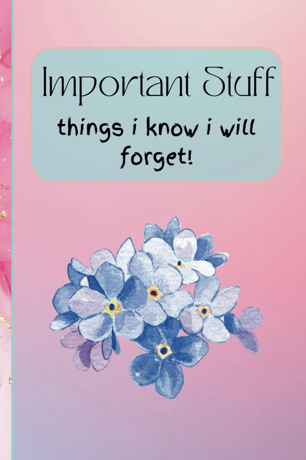 Important Stuff Things I Know I Will Forget: 100 pages of Writing Things Down
